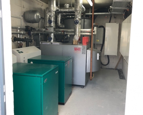 Dachse in Wohnanlage 19 Häuser in Bellheim, SenerTec Center Rhein-Haardt